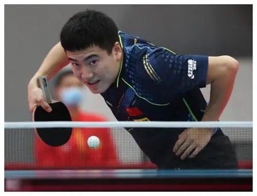 但勒沃库森 但勒沃库森