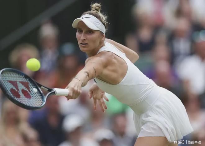 也是城市体 也是城市体