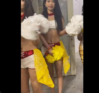 为边翼卫插